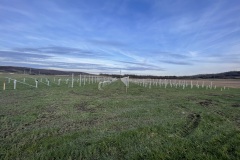 IMG_8844